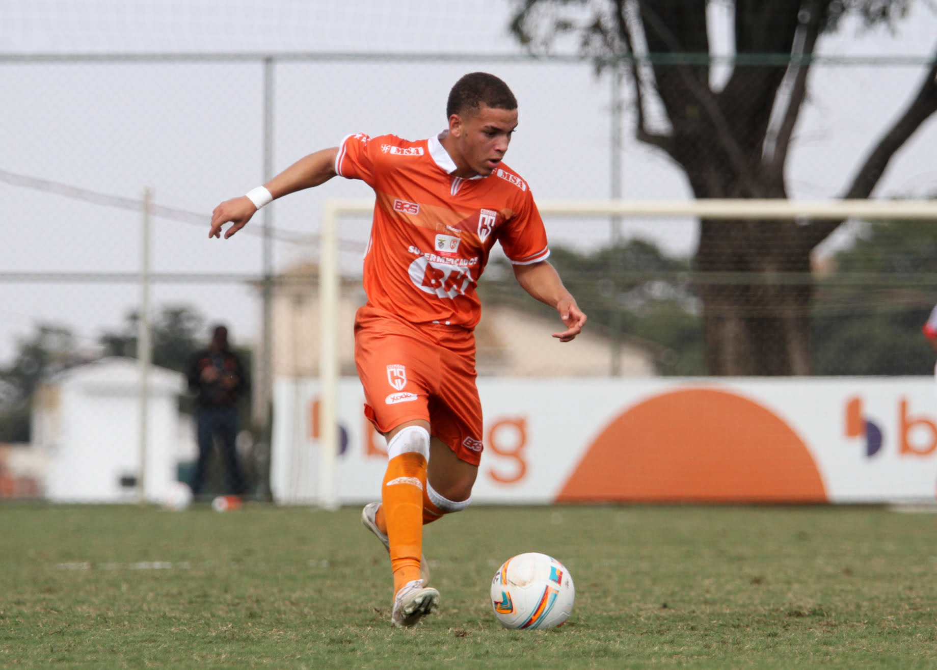 52986531190_178da0ffa2_o 52986531190_178da0ffa2_o